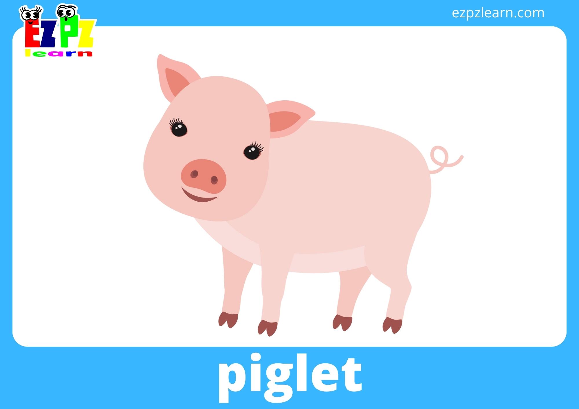 piglet